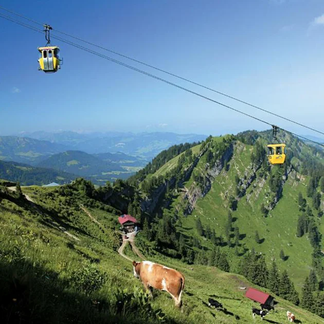 Blick auf die Imbergbahn bei Oberstaufen mit gelben Gondeln über grünen Bergen und einer Kuh auf der Almwiese im Vordergrund.