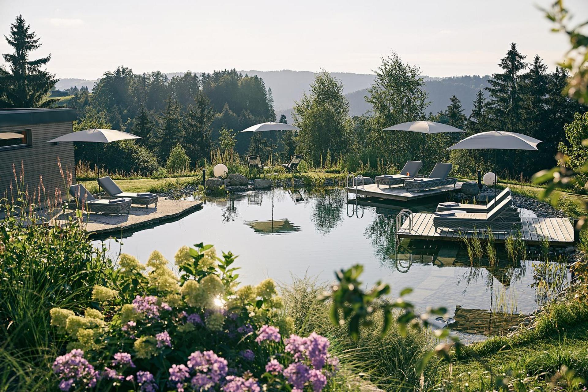 Naturbadeteich_Hotel_Birkenhof_Oberstaufen_Allgaeu Naturbadeteich des Hotel Birkenhof in Oberstaufen im Allgäu, umgeben von Bäumen, Liegen und Sonnenschirmen.