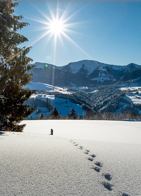 Winterlandschaft mit verschneiten Bergen, Sonnenschein und Fußspuren im Schnee.