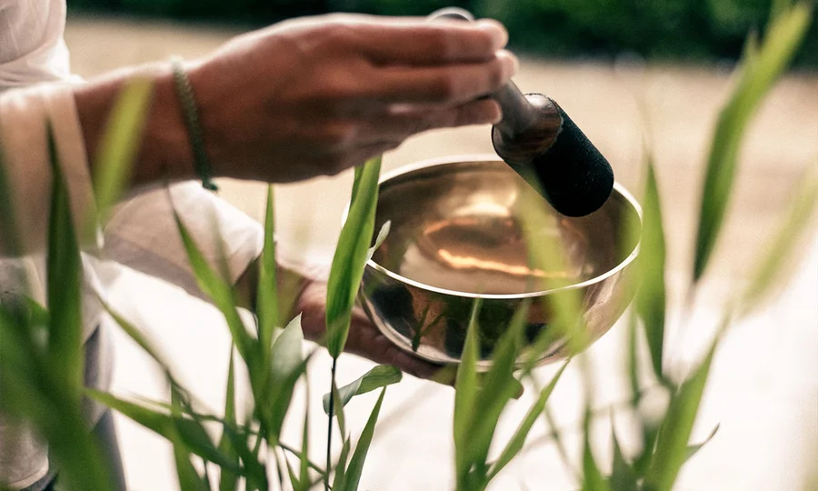 Hand schlägt eine goldene Klangschale zwischen grünen Pflanzen an.