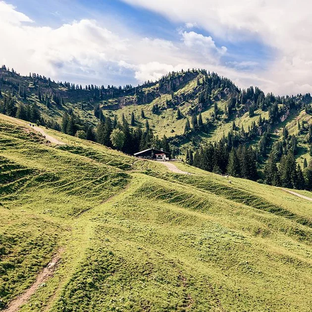 Grüne Hügel- und Berglandschaft im Allgäu bei sonnigem Wetter – ideal zum Wandern nahe dem Hotel Birkenhof Oberstaufen.
