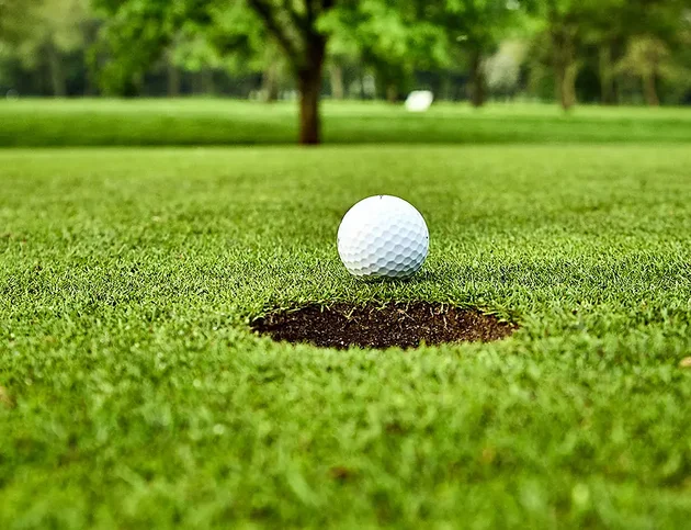 Nahaufnahme eines Golfballs direkt am Loch auf dem Grün des Hotel Birkenhof in Oberstaufen.