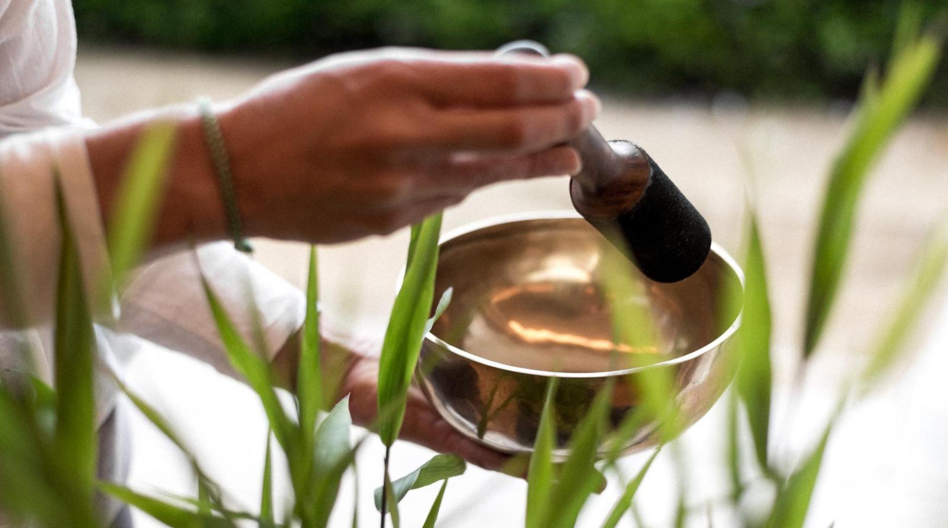 Hand hält eine goldene Klangschale zwischen grünen Pflanzen, daneben ein Klöppel für die Klangmassage.