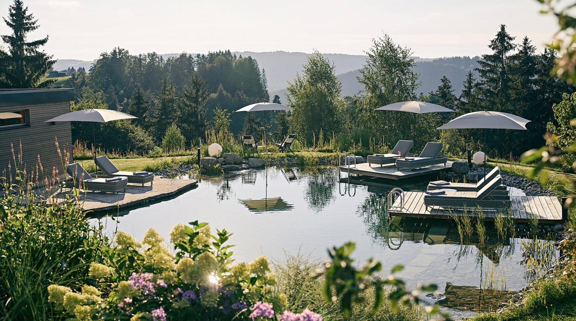 Naturschwimmteich des Hotels Birkenhof mit Sonnenliegen, Sonnenschirmen und idyllischem Blick auf die umliegende Natur.