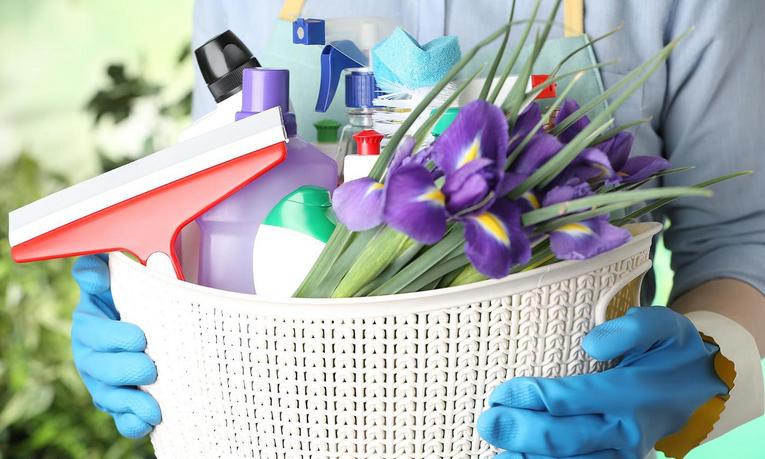 Person mit blauen Handschuhen hält weißen Korb mit Reinigungsmitteln, Fensterabzieher und violetten Blumen