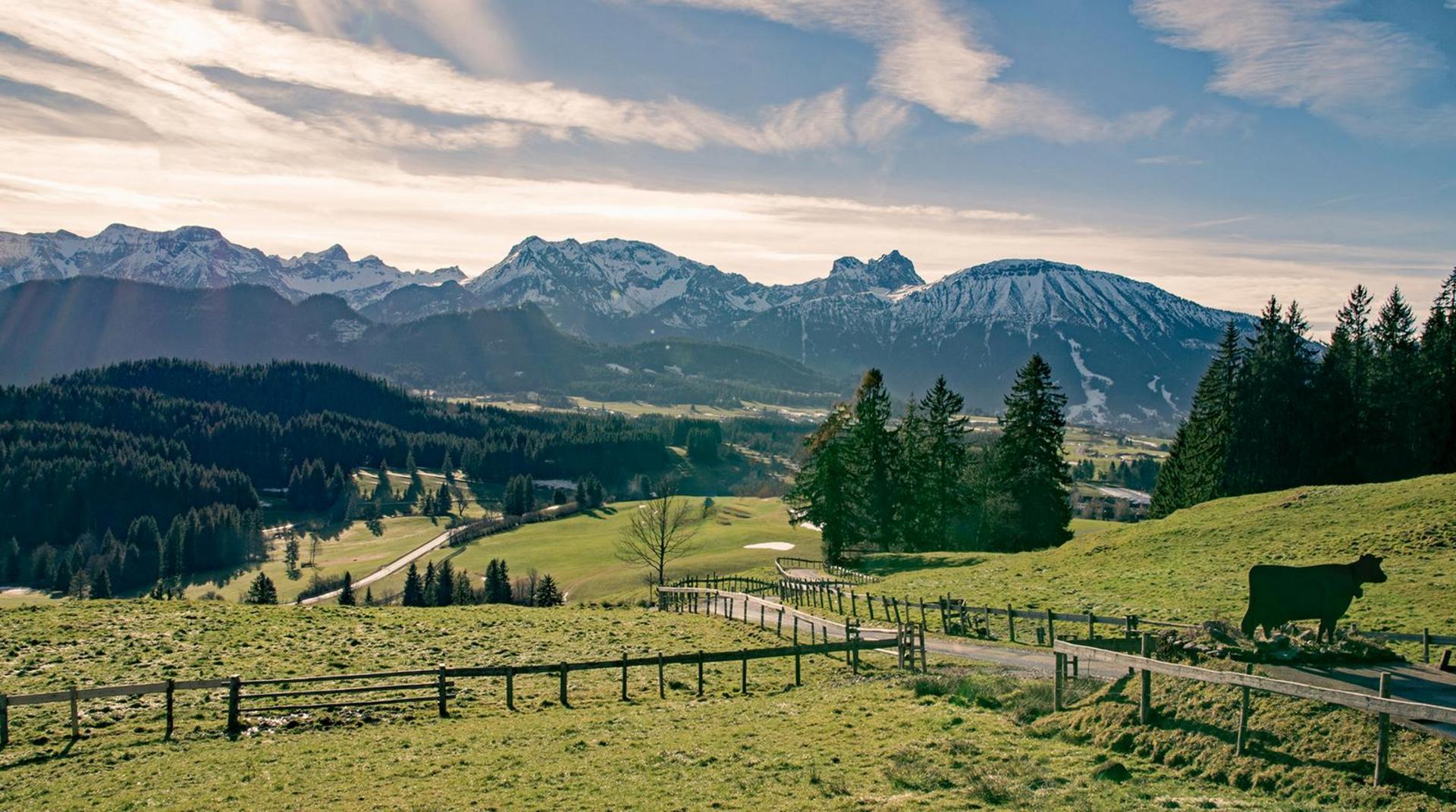 Panoramablick über grüne Almwiesen und umliegende Berge