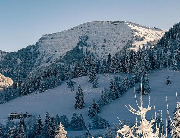 Schneebedeckte Berglandschaft mit dichtem Wald und blauem Himmel
