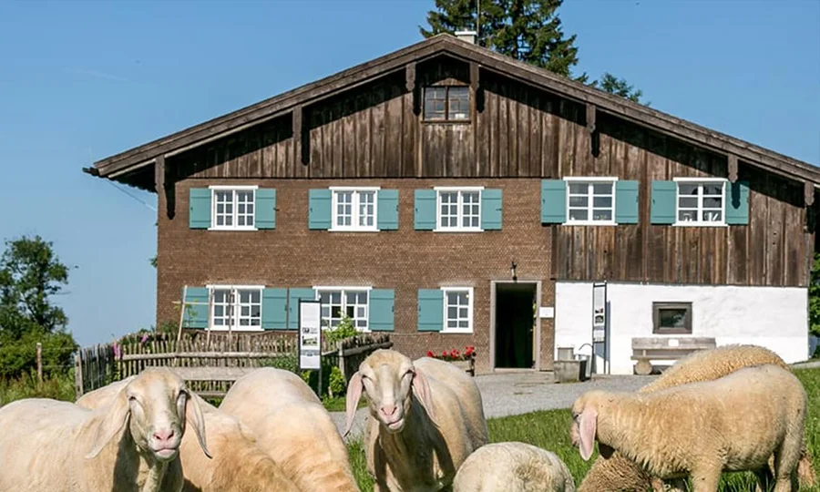 Traditionelles Holzhaus vor dem Schafe auf der Weide grasen.
