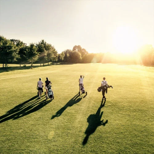Vier Golfspieler auf dem Platz im Sonnenuntergang Vier Golfspieler auf dem Platz im Sonnenuntergang