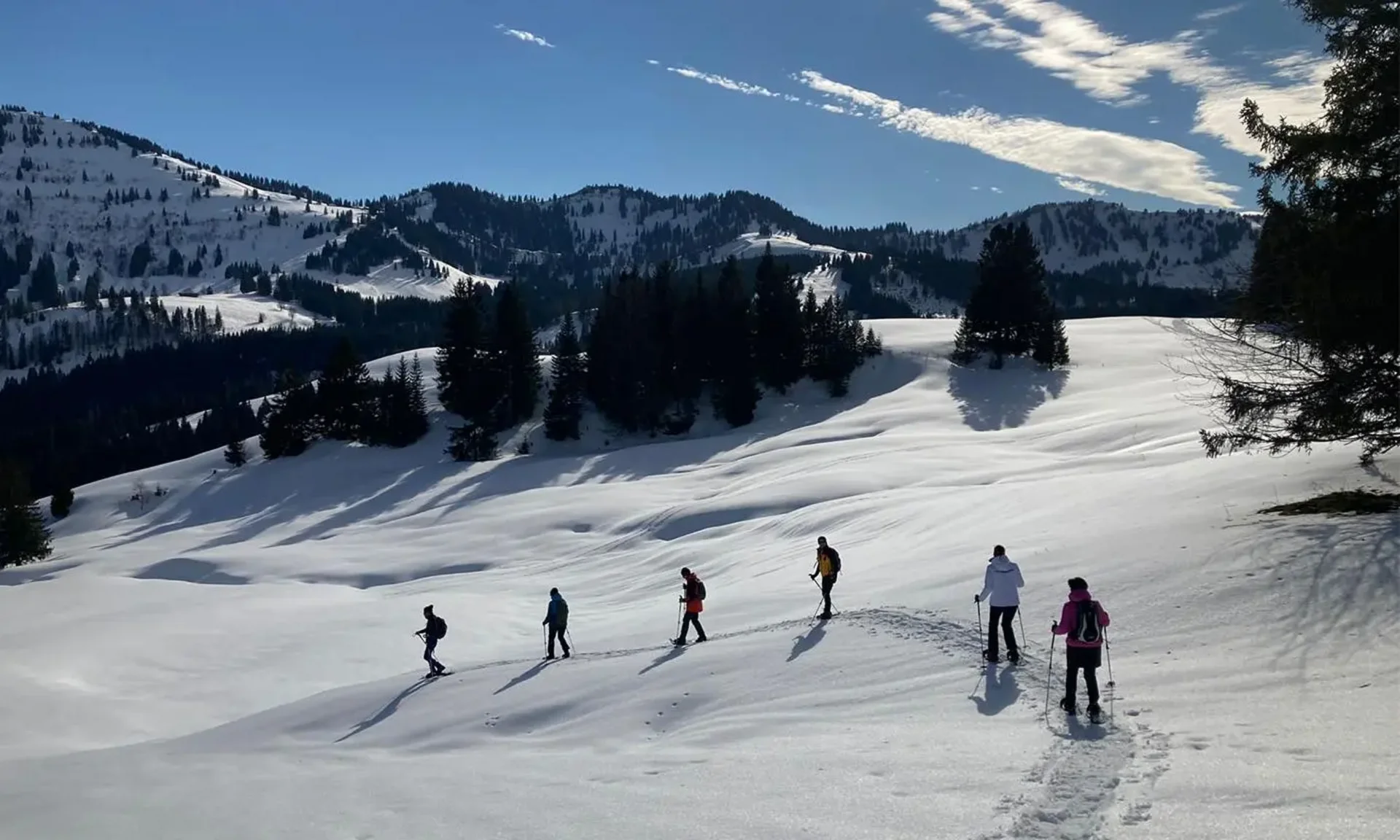 Gruppe von sechs Personen wandert mit Schneeschuhen durch eine verschneite Berglandschaft im Allgäu.