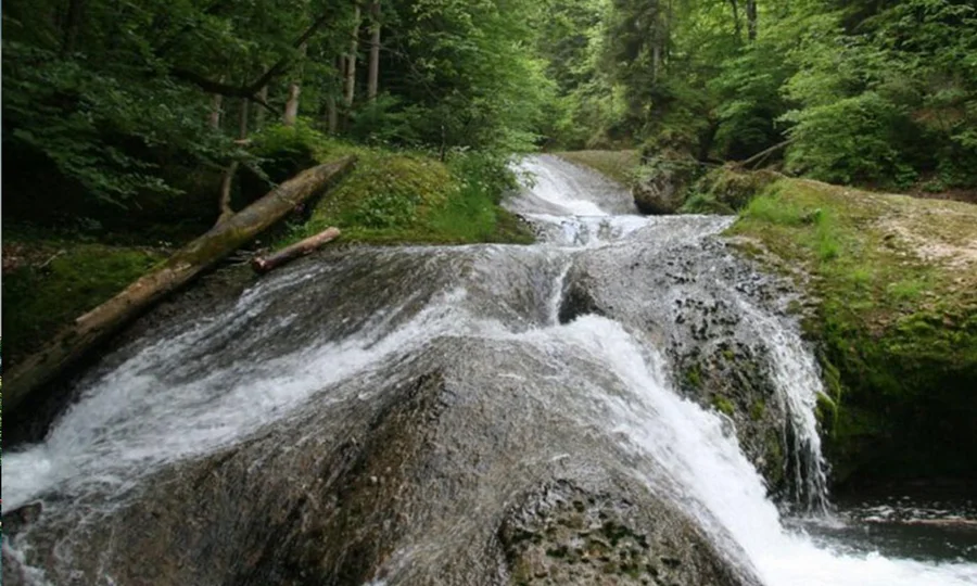 Mehrstufiger Wasserfall beim Eistobel zwischen Felsen und Bäumen im Grünen.