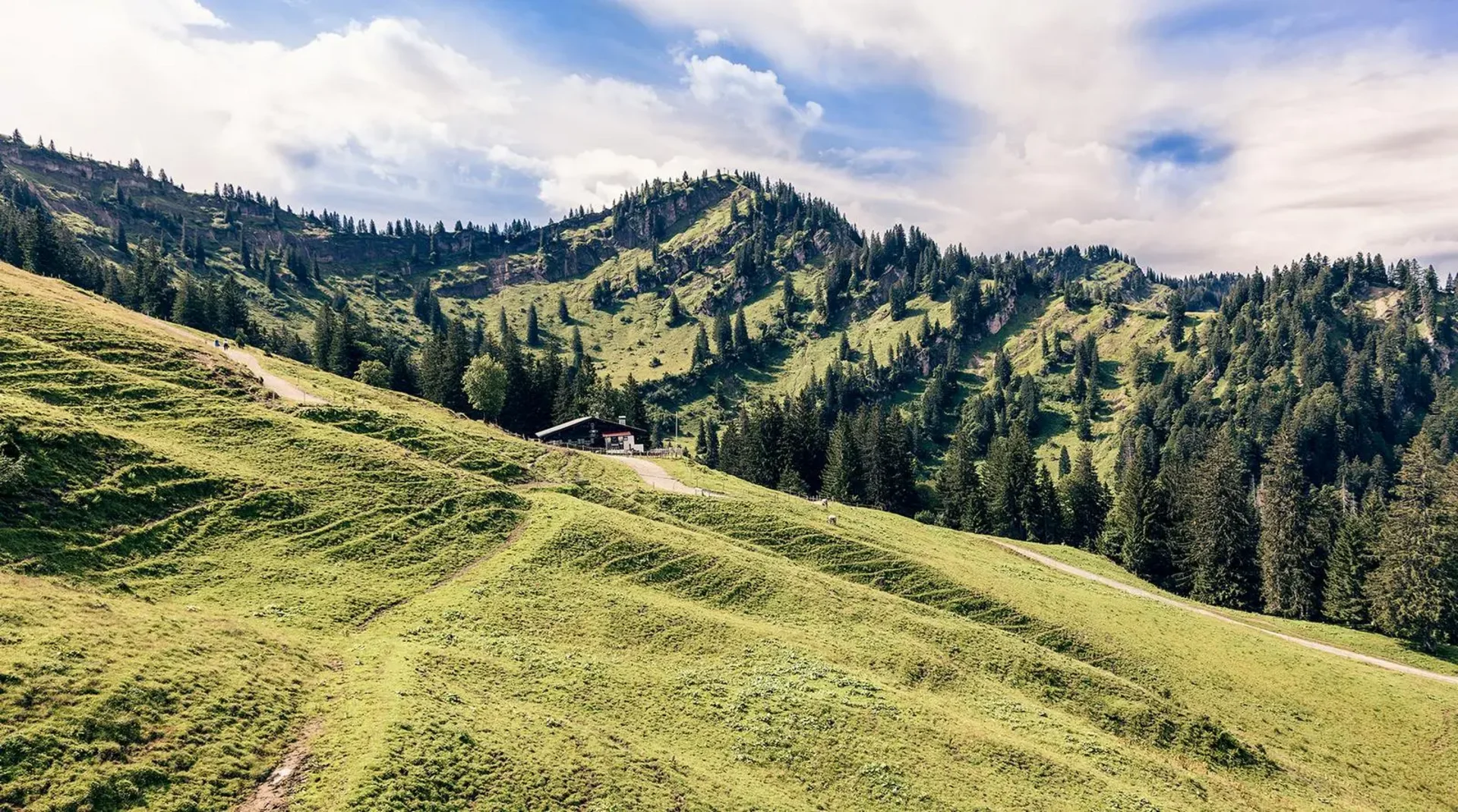 Extensive mountain landscape in the Allgäu with green meadows and forest slopes.extensive mountain landscape in the Allgäu with green meadows and forest slopes.