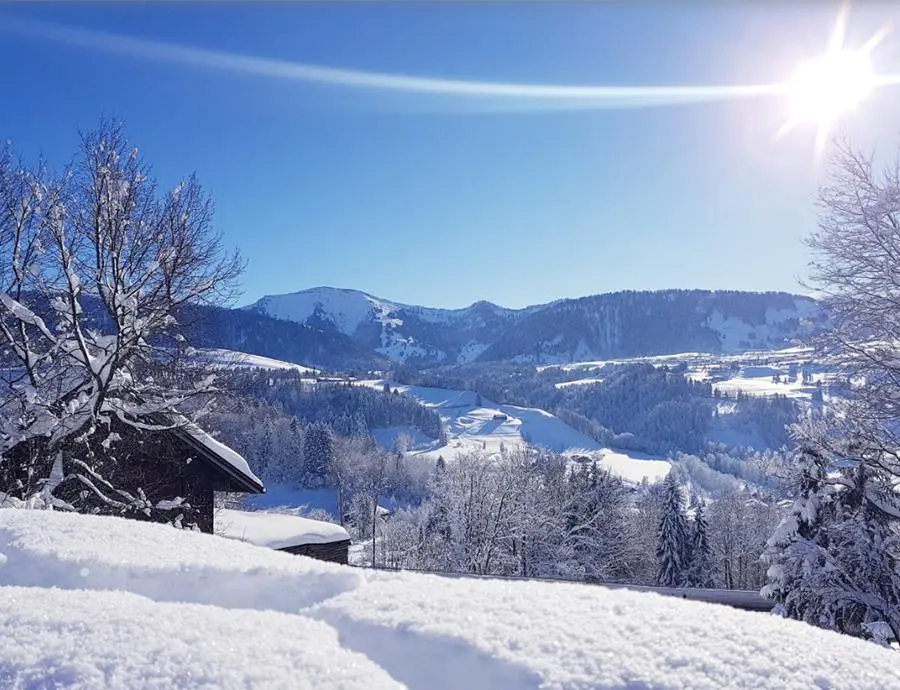 Winterlandschaft mit Sonne, Bergen und tief verschneiten Bäumen.