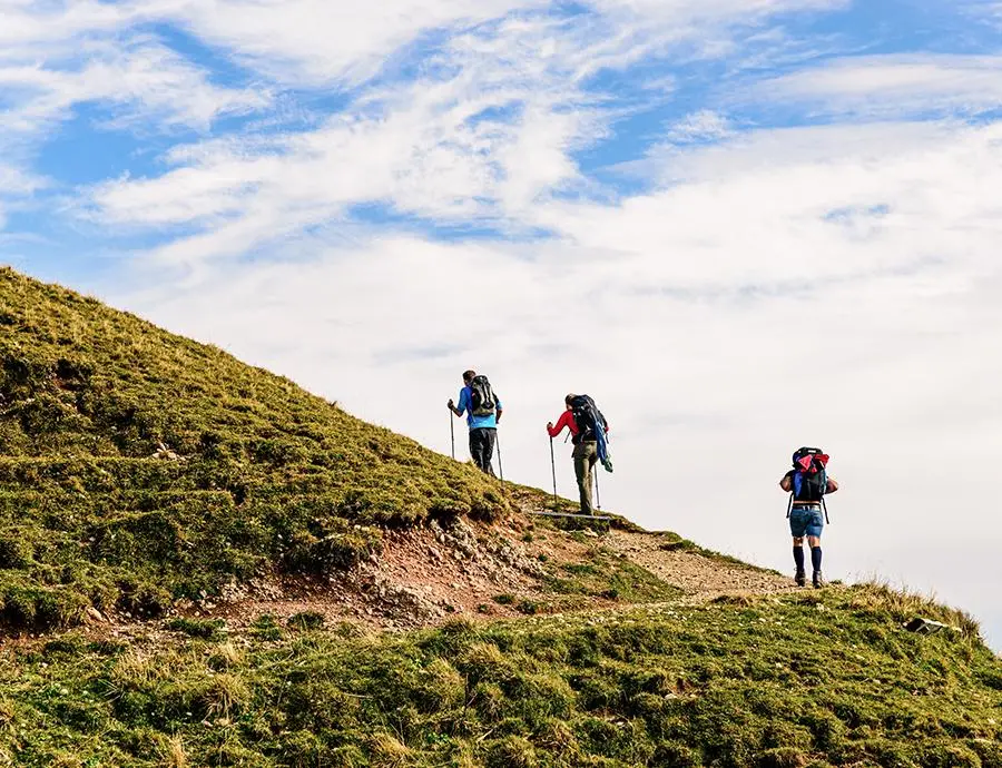 Drei Bergwanderer mit Rucksäcken und Wanderstöcken steigen einen grasbewachsenen Hang hinauf.