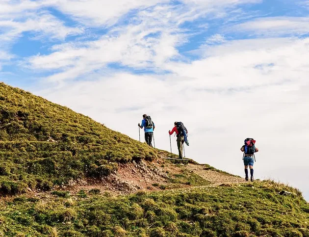 Drei Bergwanderer mit Rucksäcken und Wanderstöcken steigen einen grasbewachsenen Hang hinauf.