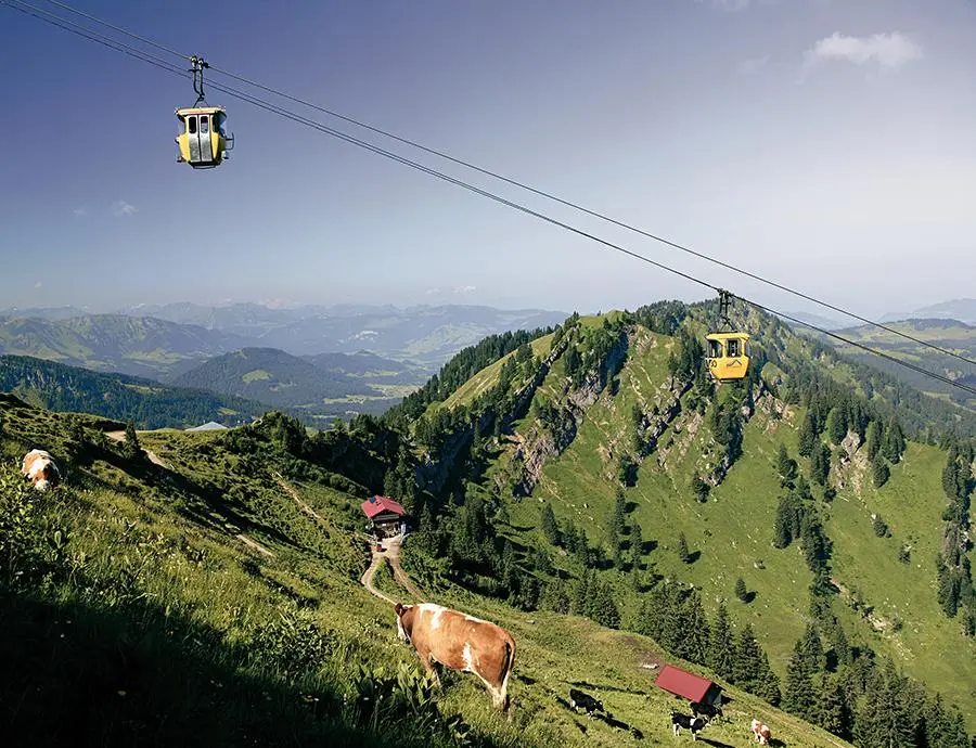 Seilbahn mit gelben Gondeln über grüner Berglandschaft mit Kühen auf der Weide