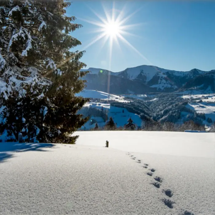 Verschneite Allgäuer Winterlandschaft mit Bergen im Hintergrund und Fußspuren im Schnee unter strahlender Sonne.
