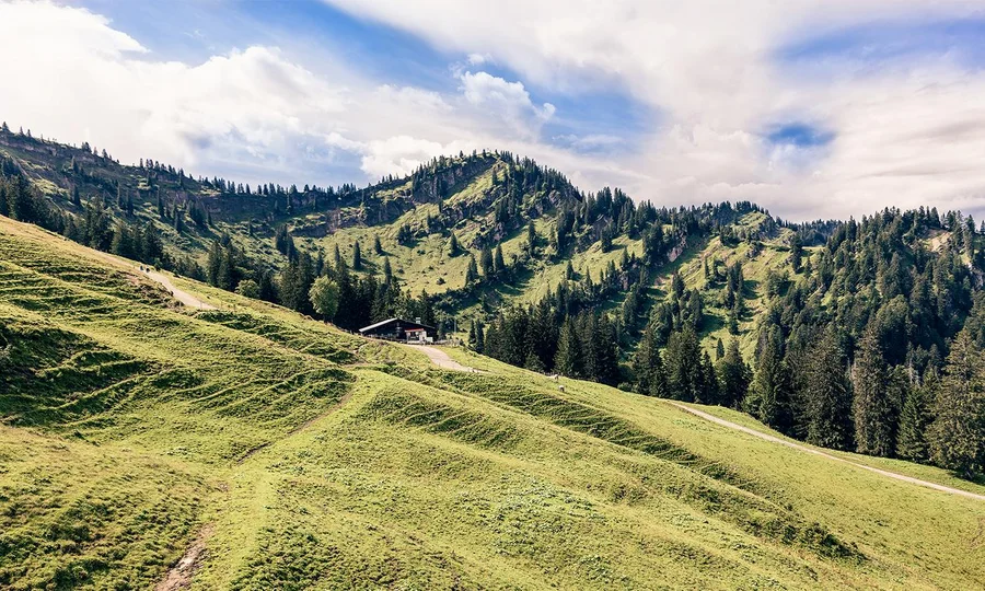 Grüne Almwiesen mit geschwungenen Pfaden und einem einsamen Berghaus, umgeben von dichten Wäldern und den felsigen Gipfeln der Allgäuer Alpen unter teils bewölktem Himmel.