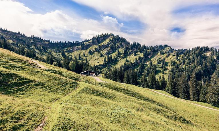Grüne Berglandschaft im Allgäu mit Wanderwegen nahe Oberstaufen