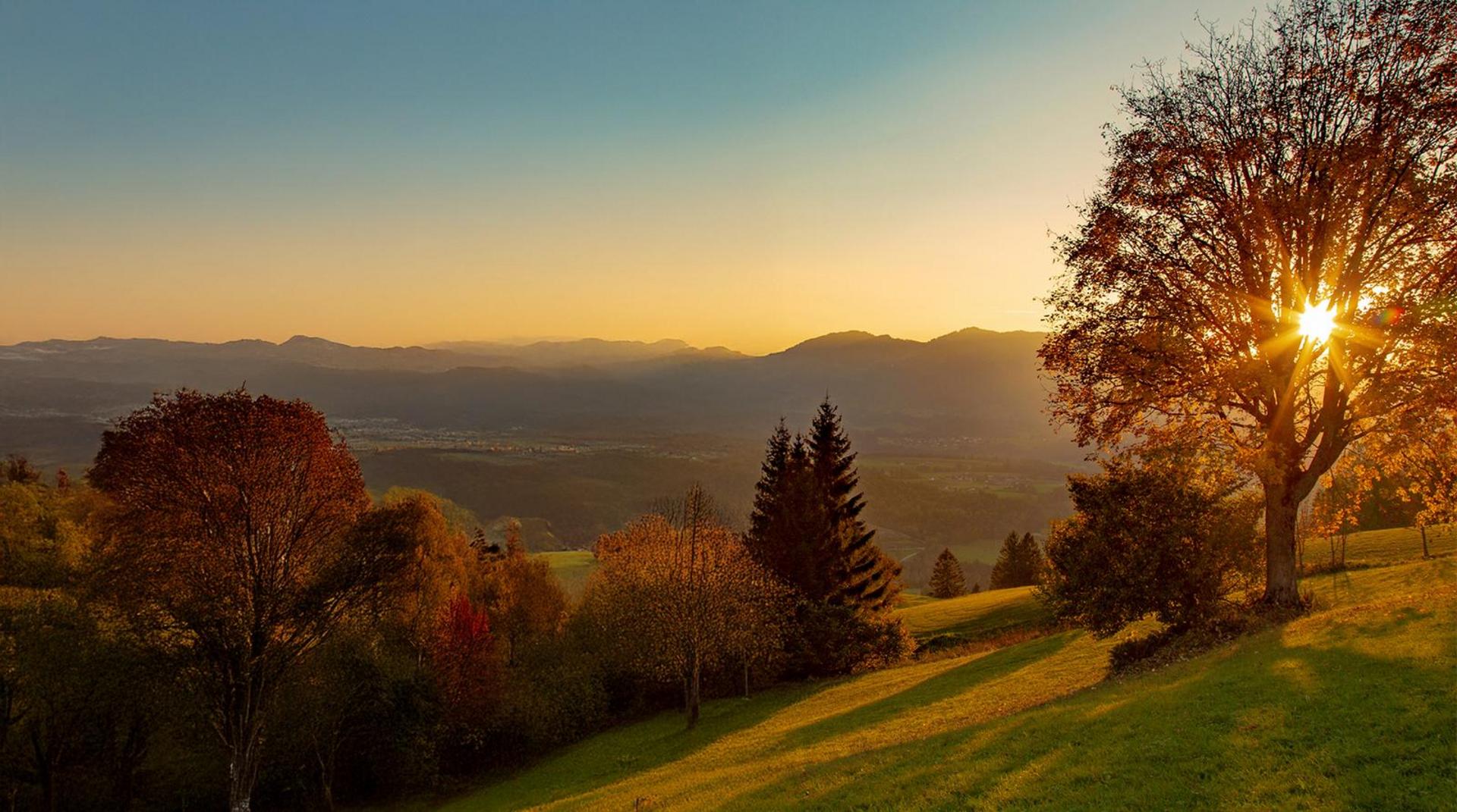 Landschaft mit sanften Hügeln, Bäumen und untergehender Sonne, die goldenes Licht über die Wiesen wirft.