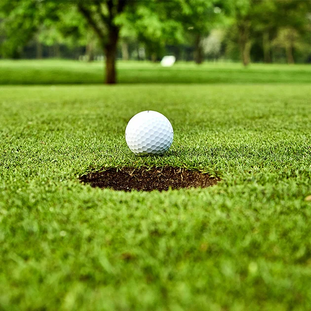 Nahaufnahme eines Golfballs direkt am Loch auf einer grünen Wiese mit Bäumen im Hintergrund.
